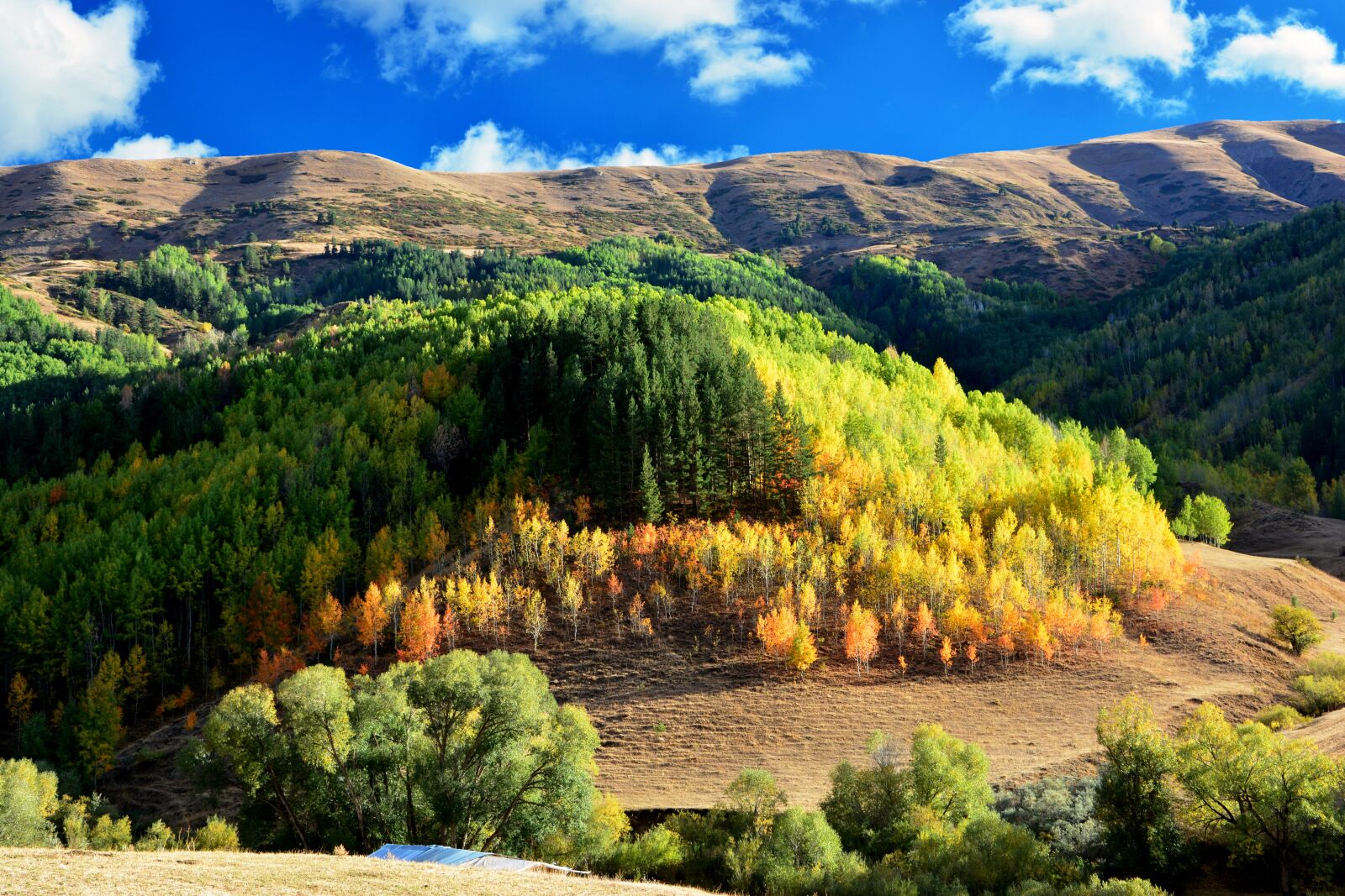Nikon D7100 sample photo. Nature, landscape, kaçkars photography
