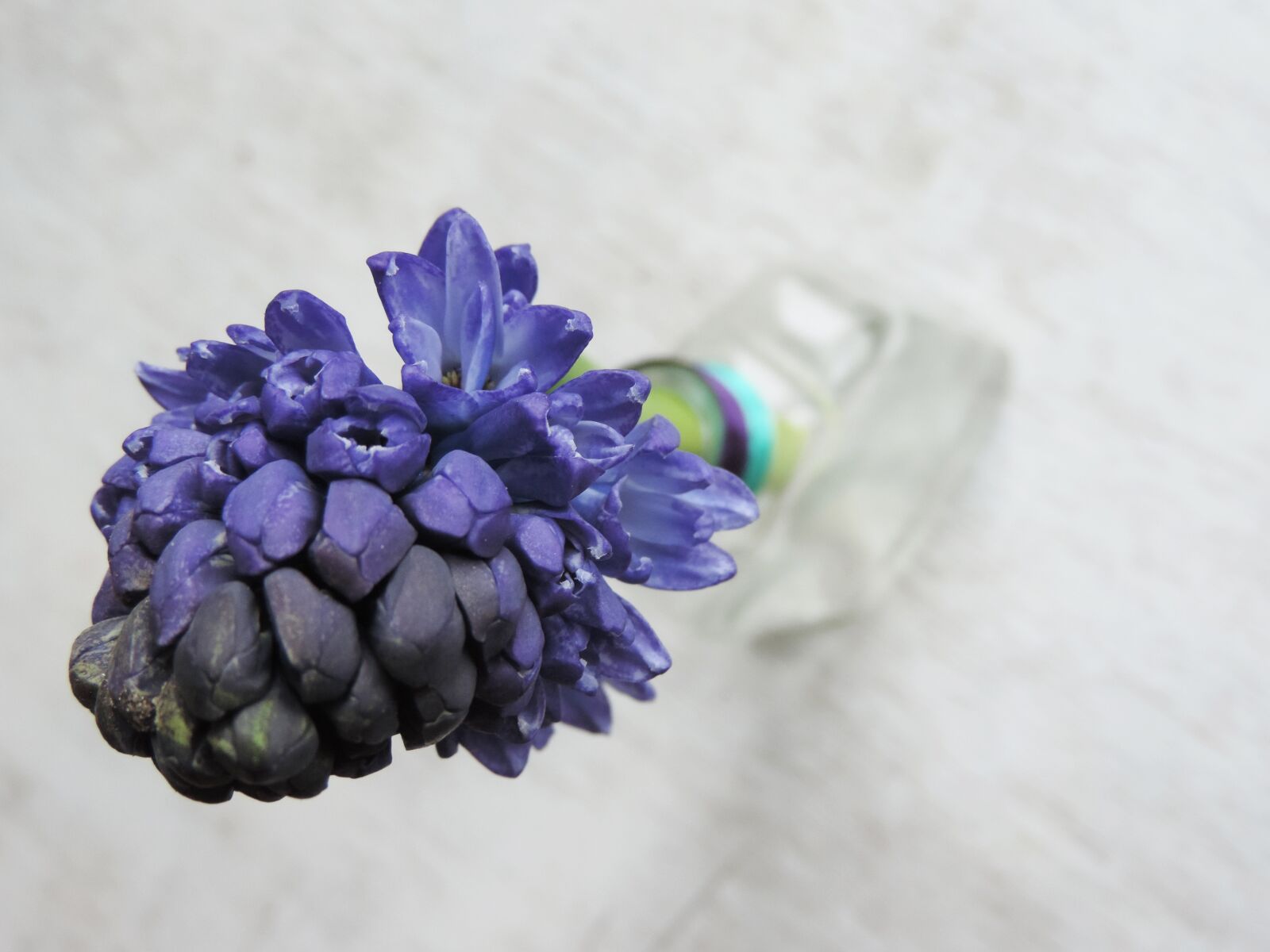 Nikon Coolpix P520 sample photo. Hyacinth, purple, flower photography