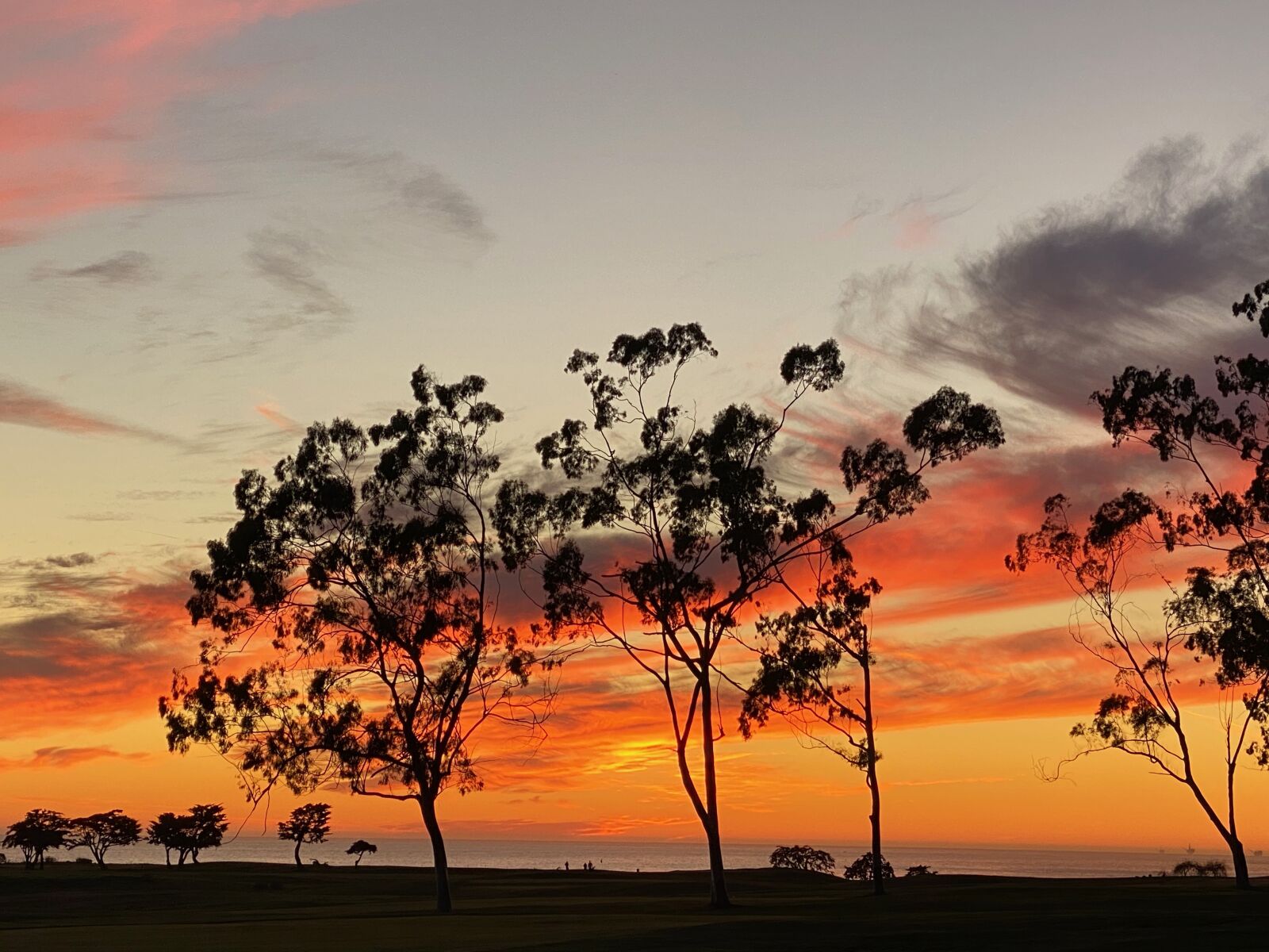 iPhone 11 Pro Max back triple camera 6mm f/2 sample photo. Sunset, orange, sky photography