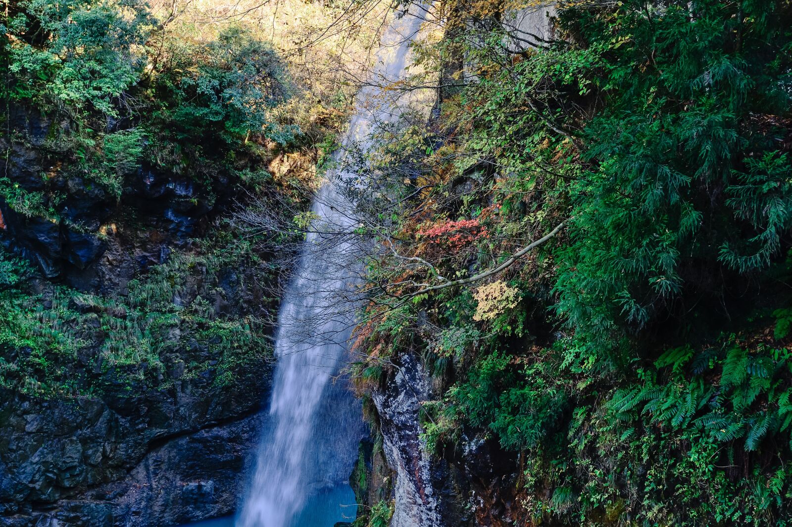 Nikon Df sample photo. Japan, landscape, natural photography