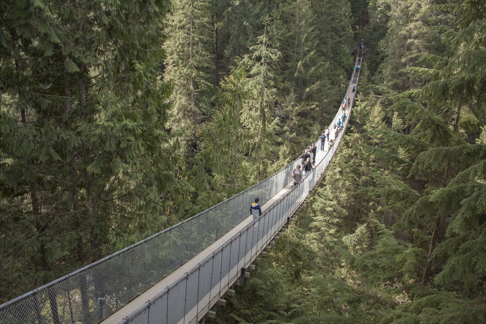 Canon EF-S 18-55mm F3.5-5.6 II sample photo. Capilano suspension bridge, wilderness photography