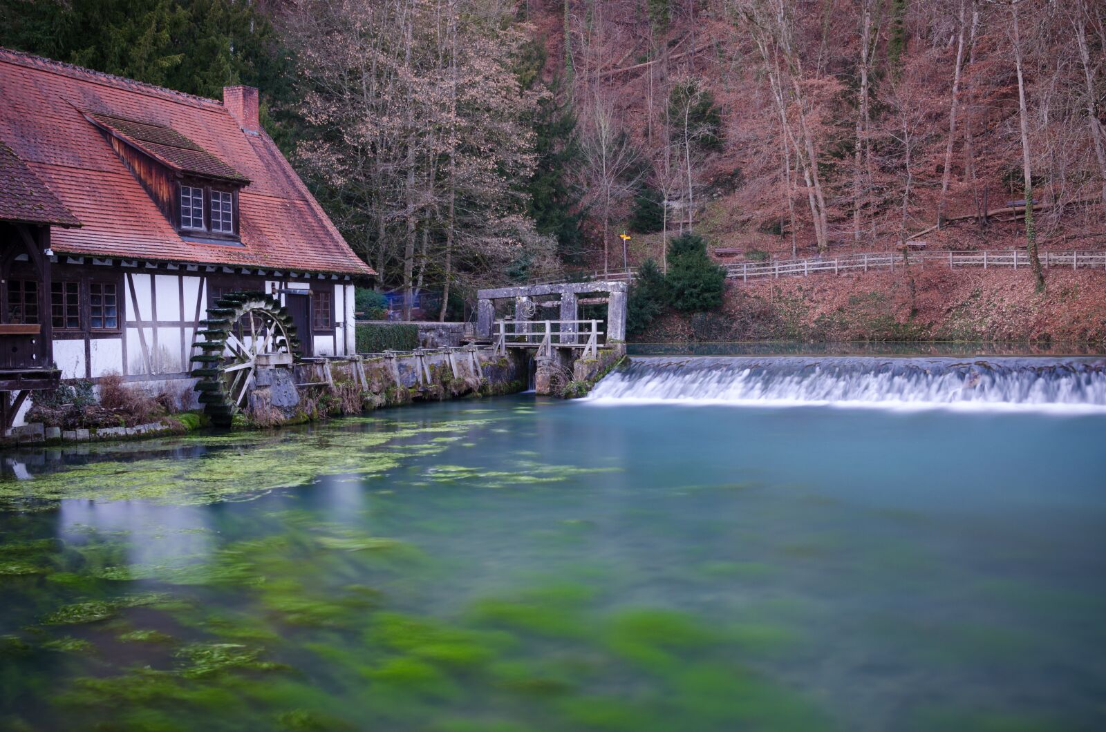 Nikon D5100 sample photo. Blautopf, blaubeuren, germany photography