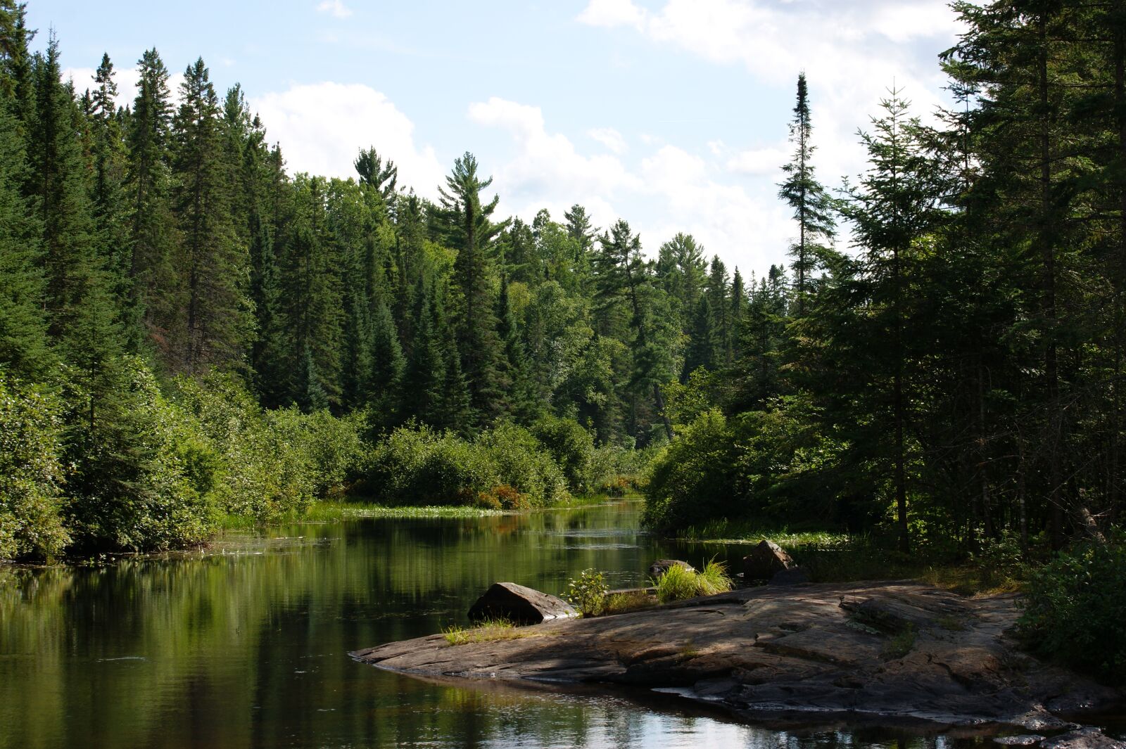 Sony Alpha DSLR-A390 sample photo. Algonquin provincial park, madawaska photography