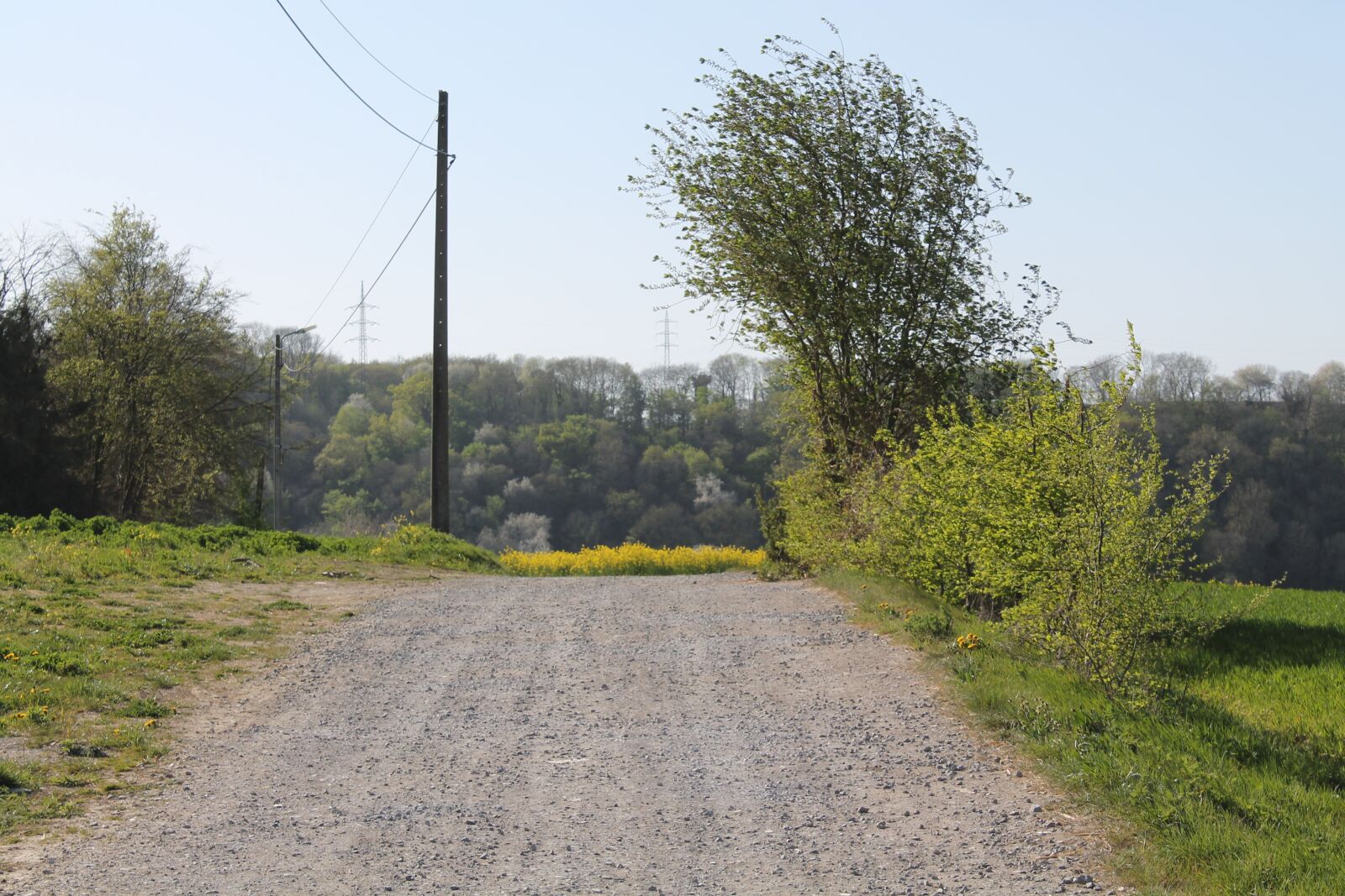 Canon EOS 1100D (EOS Rebel T3 / EOS Kiss X50) sample photo. Trail, tree, landscape photography