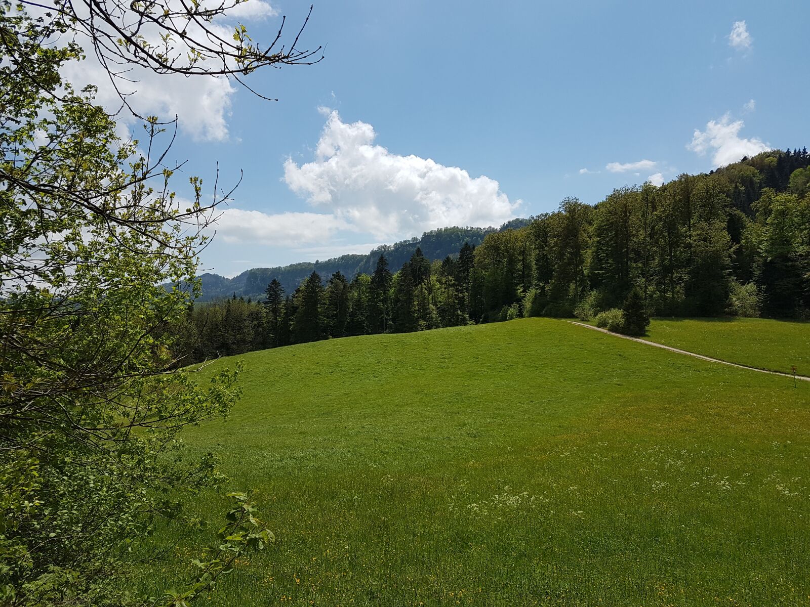 Samsung Galaxy S7 Edge sample photo. Switzerland, basel-land, eptingen photography