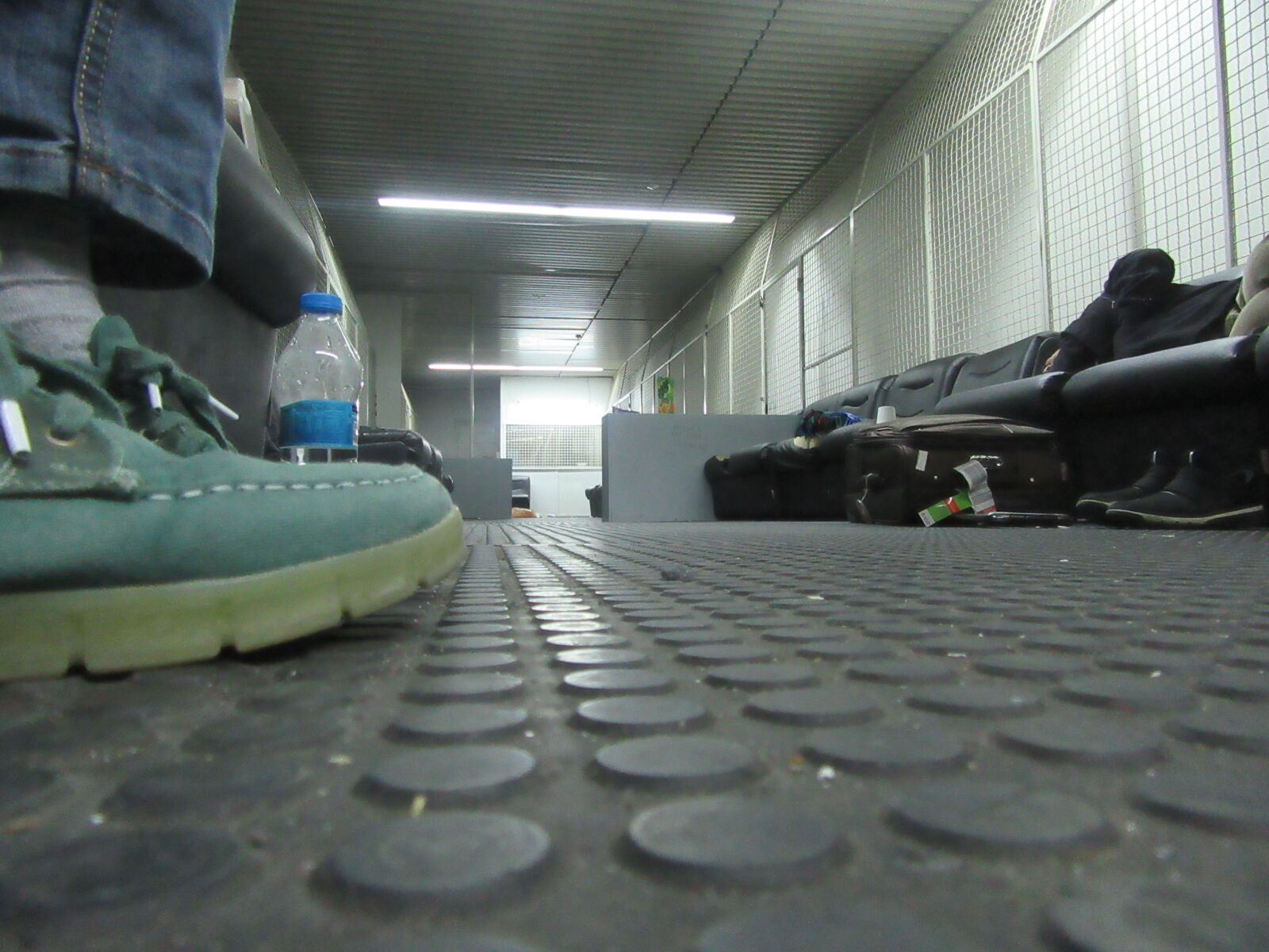 Canon PowerShot SX610 HS sample photo