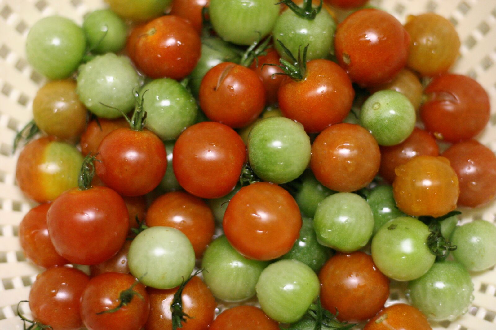 Canon EOS 20D sample photo. Cherry tomatoes, green, red photography
