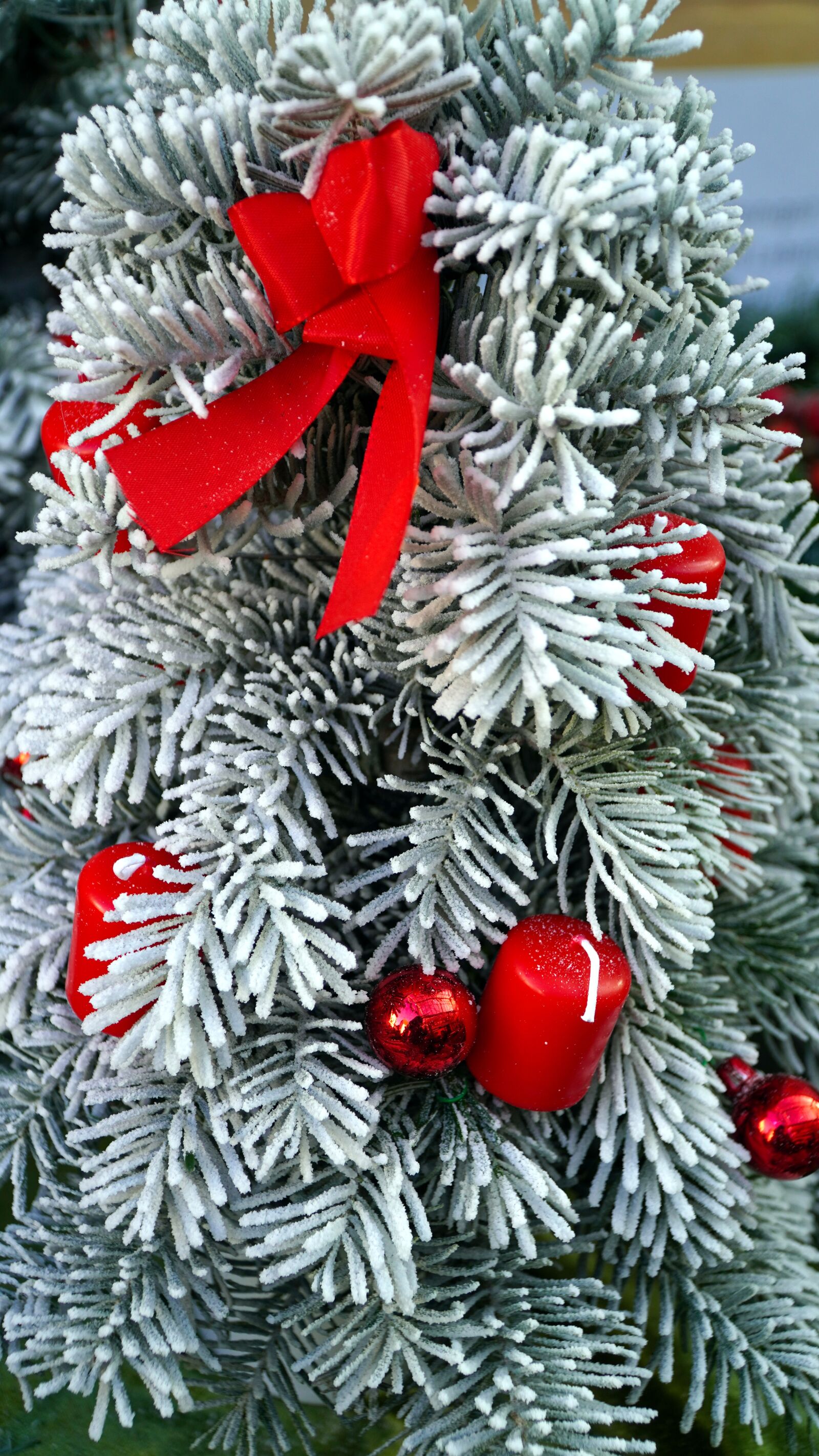 Sony E PZ 18-105mm F4 G OSS sample photo. Tannenzweig, candles, advent photography