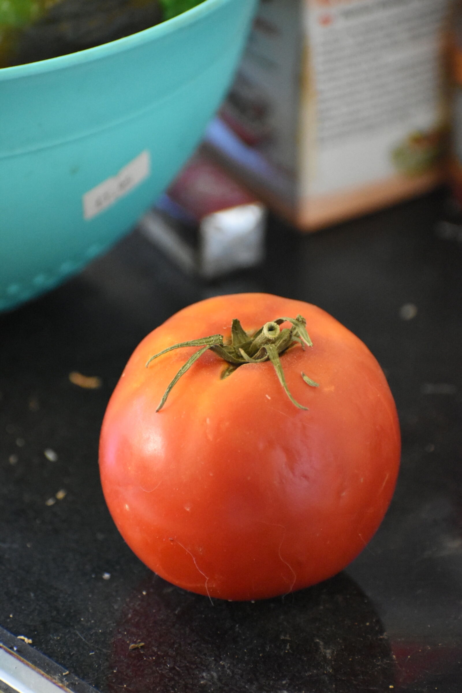 Nikon D5600 sample photo