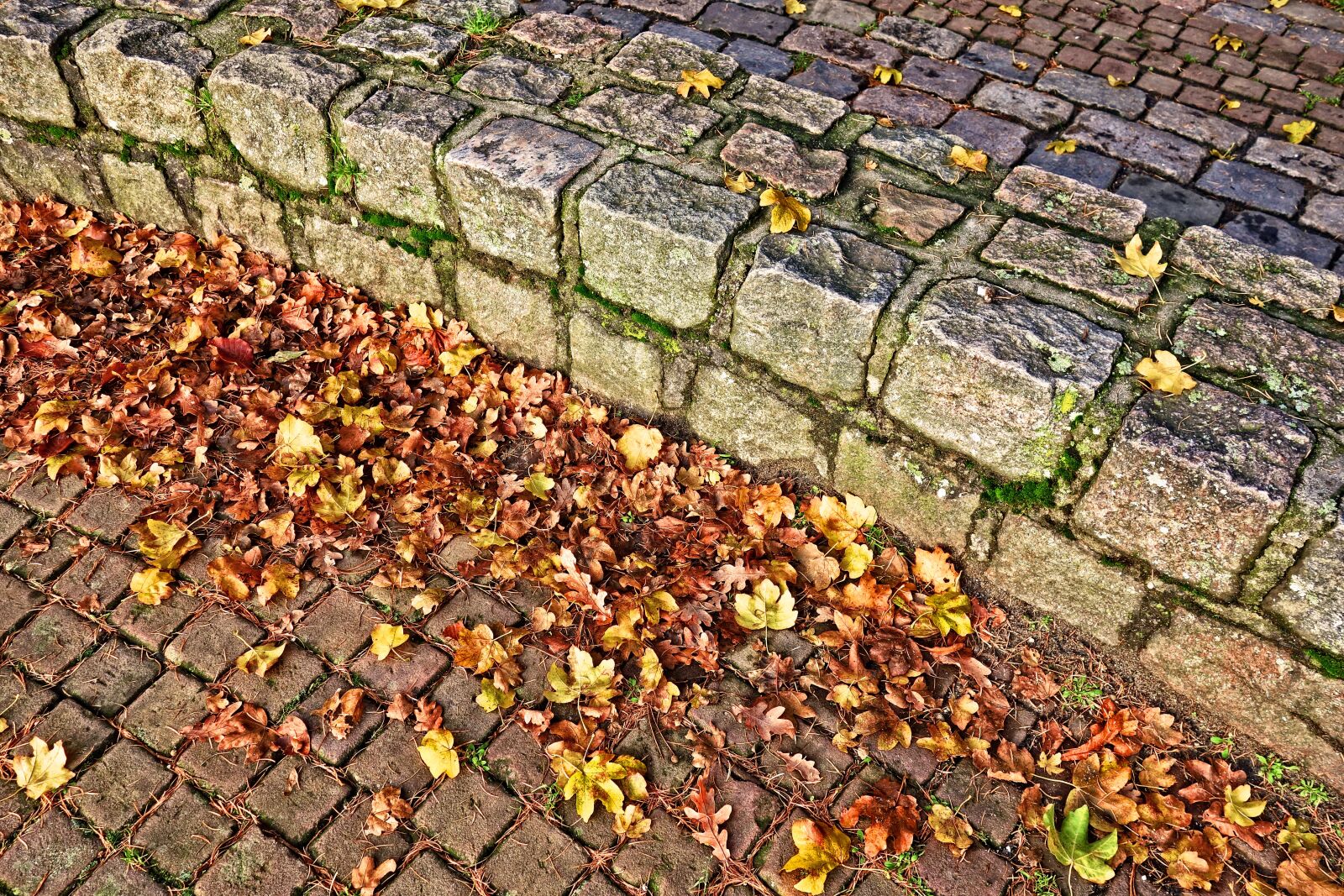 Sony Cyber-shot DSC-RX100 sample photo. Wall, stone, curved wall photography