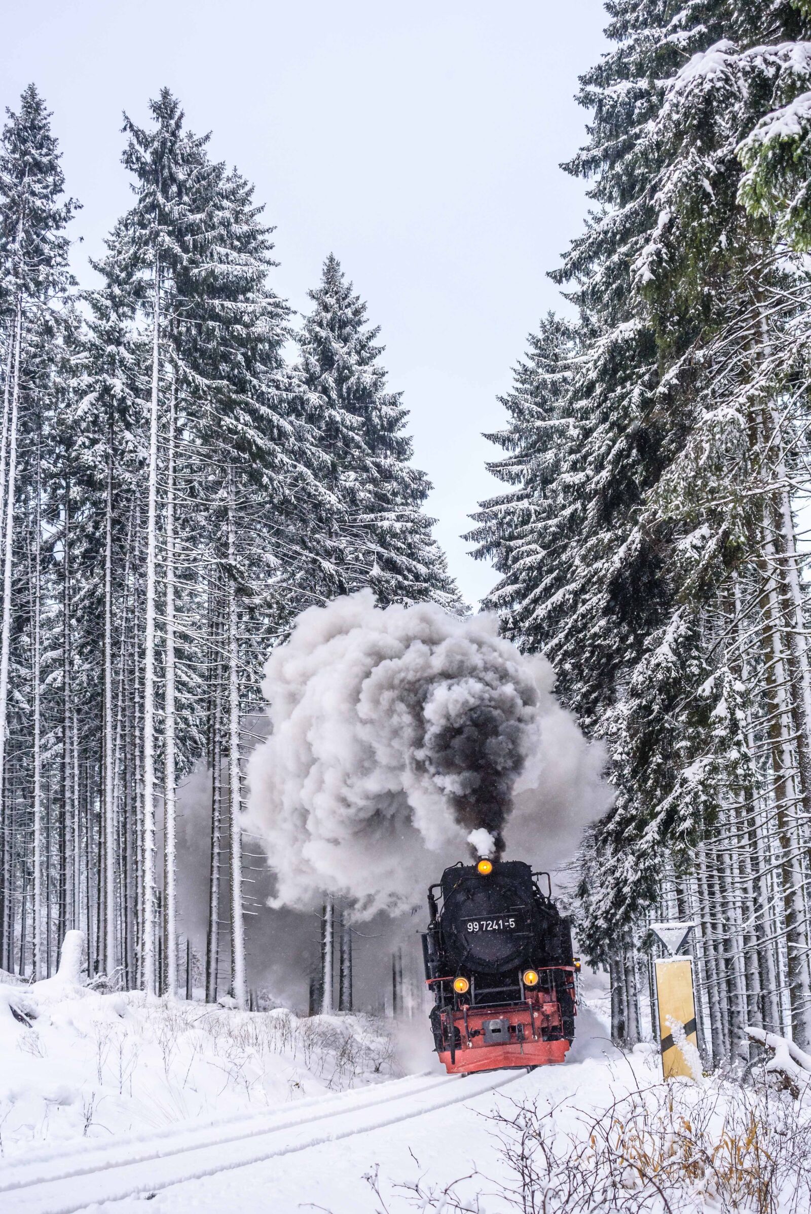 Nikon D750 sample photo. Harzer schmalspuhrbahn, wintry, full photography