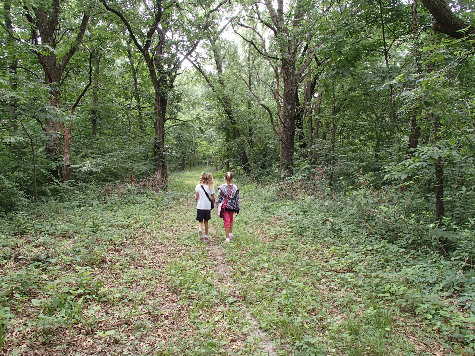 Olympus TG-820 sample photo. Forest, sisters, together, walking photography