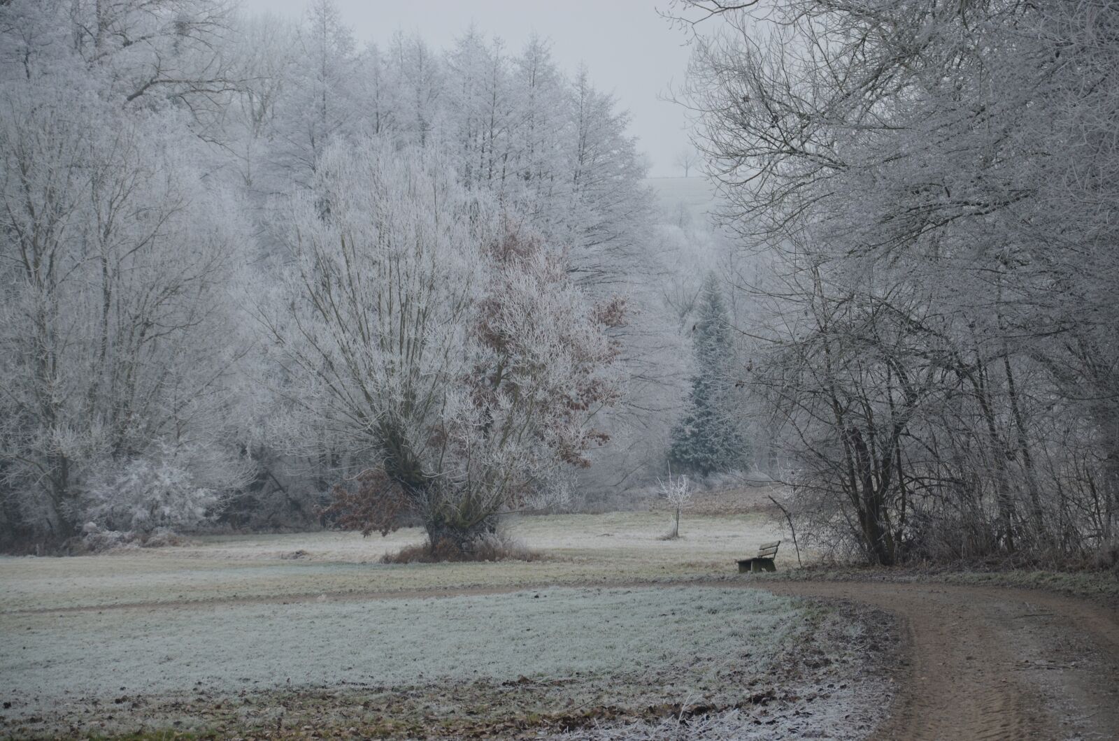 Nikon D5100 sample photo. Winter, bank, ripe photography