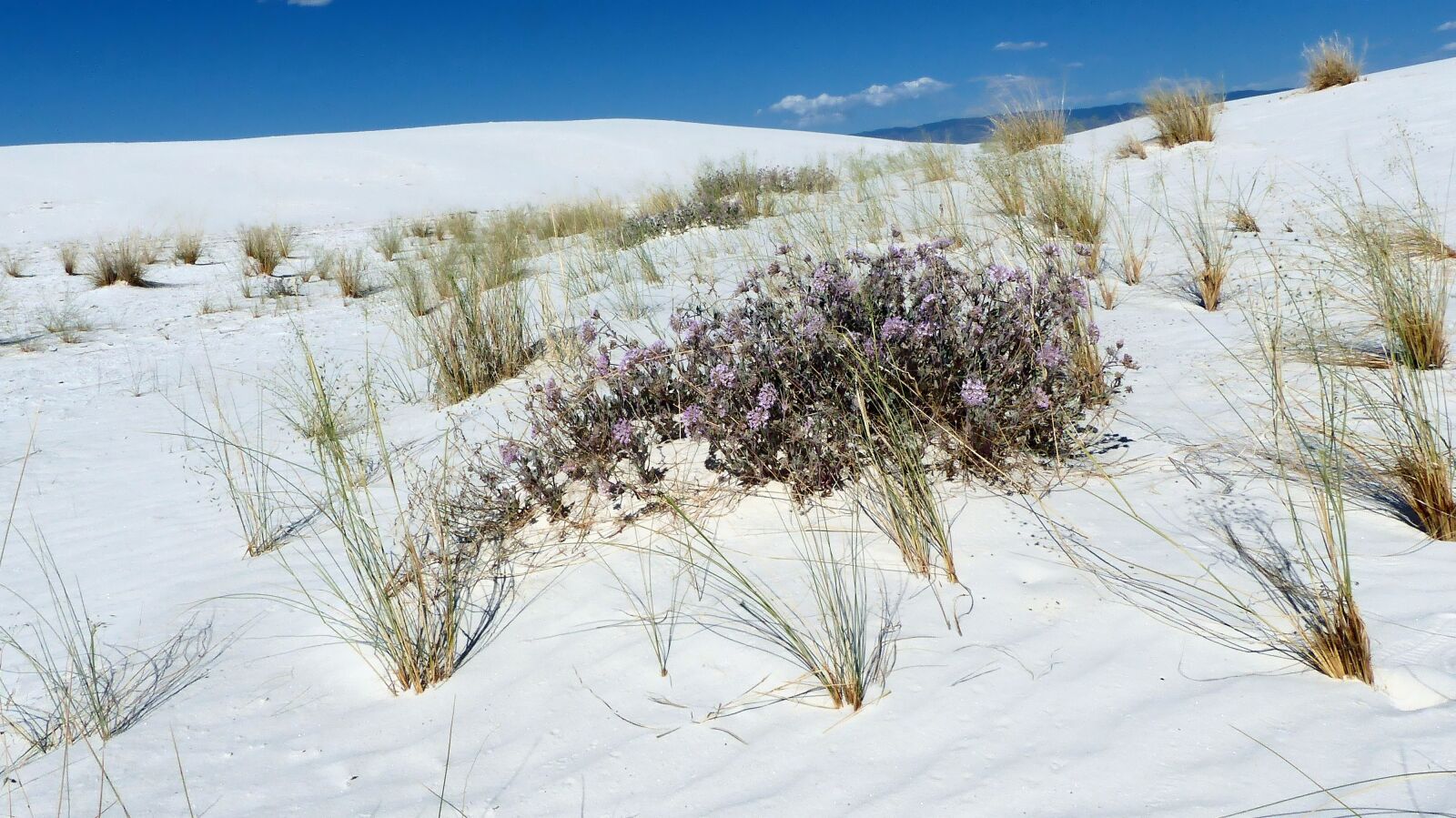 Panasonic Lumix DMC-FZ200 sample photo. Sands, dunes, gypsum photography