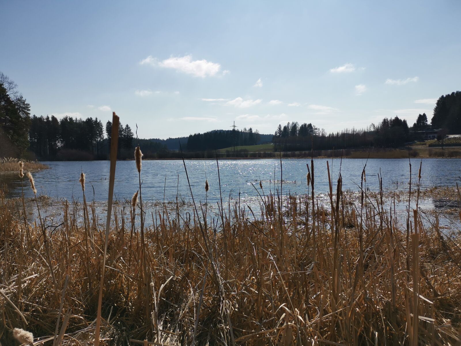 HUAWEI LYA-L29 sample photo. Pond, spring, waldviertel photography