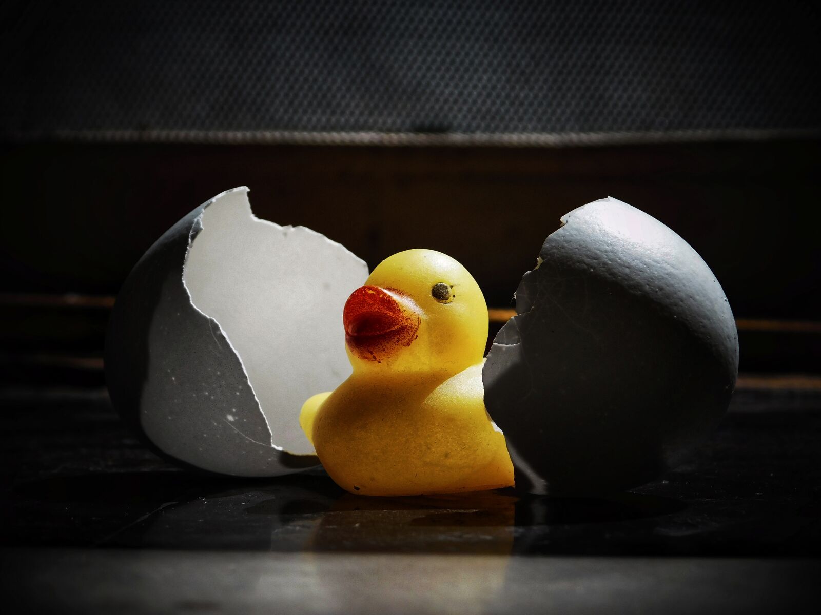 Nikon Coolpix L840 sample photo. Food, still life, egg photography