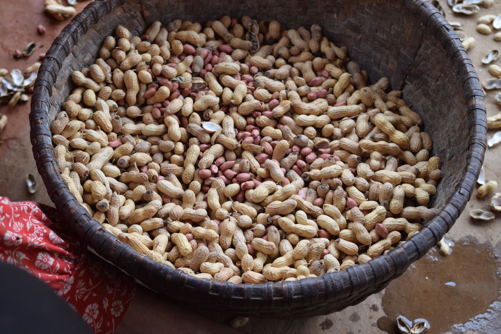 Nikon D5300 sample photo. Peanut, peanuts, food photography