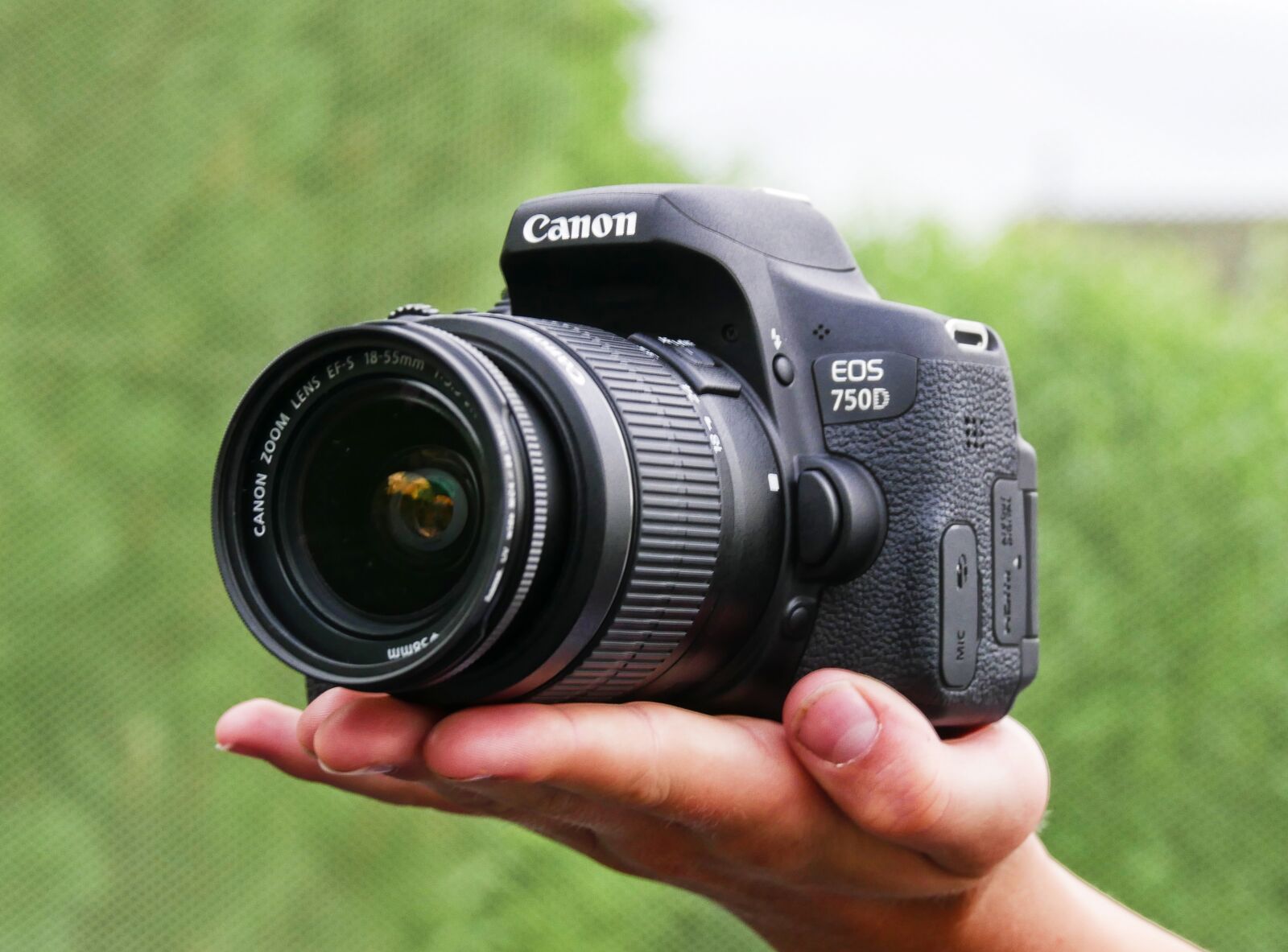 Panasonic DMC-G70 sample photo. Camera, canon, 750d photography