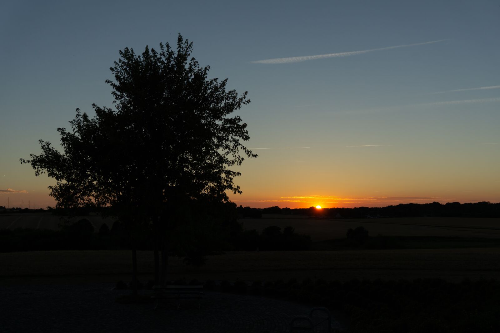 Sony a5100 sample photo. Tree, sunset, landscape photography