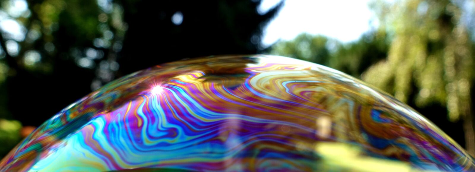Sony DSC-RX100M5 sample photo. Soap bubble, color, colorful photography