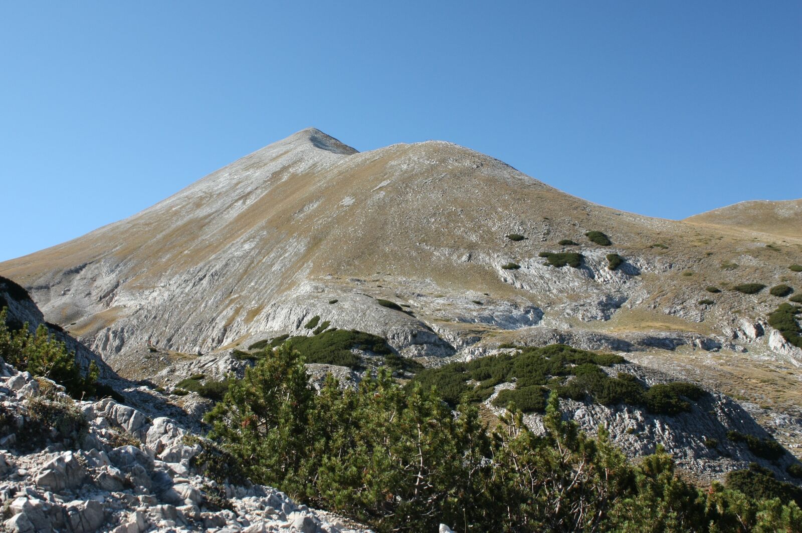 Canon EOS 450D (EOS Rebel XSi / EOS Kiss X2) sample photo. Pirin, kutelo, landscape photography