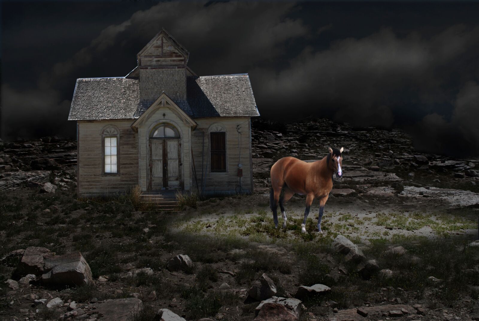 Nikon D60 sample photo. Night, horse, ranch house photography