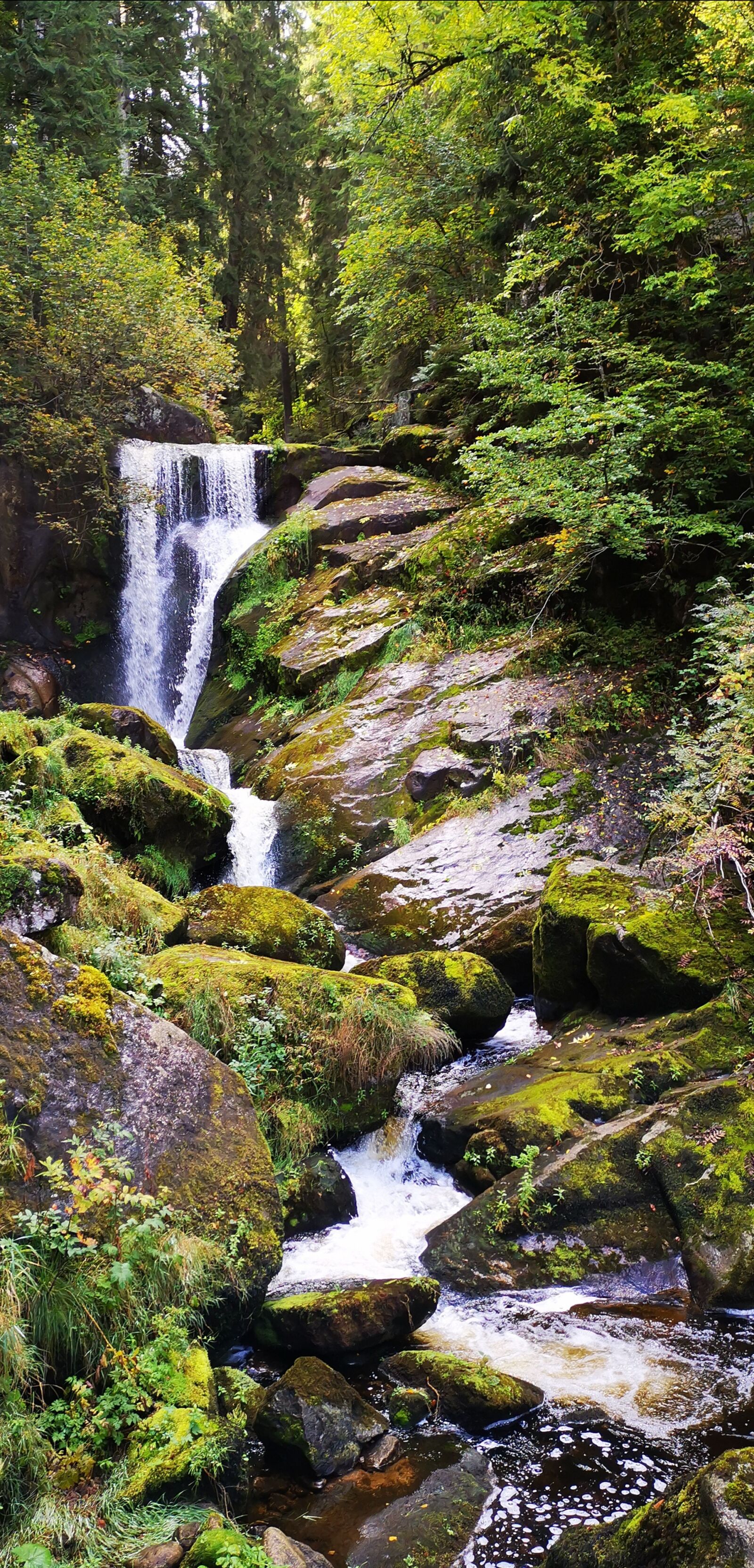 HUAWEI HMA-L29 sample photo. Black forest, triberg, waterfall photography