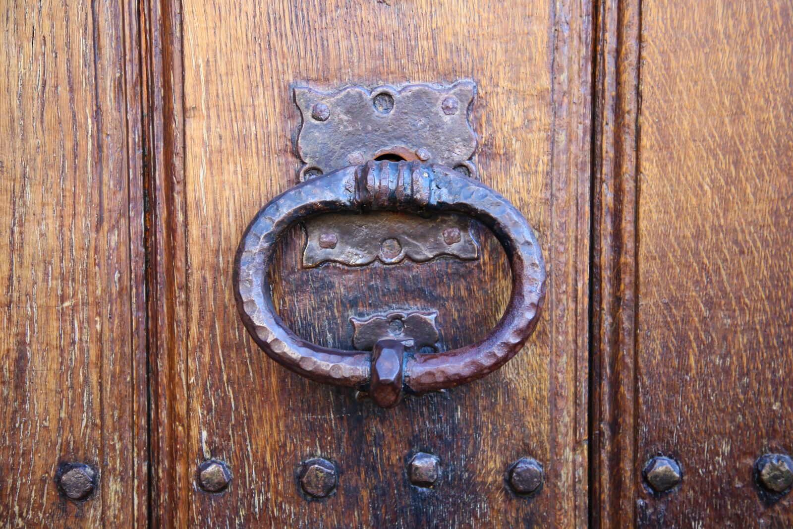 Canon EF 24-105mm F4L IS II USM sample photo. Door handle, doorknocker, front photography