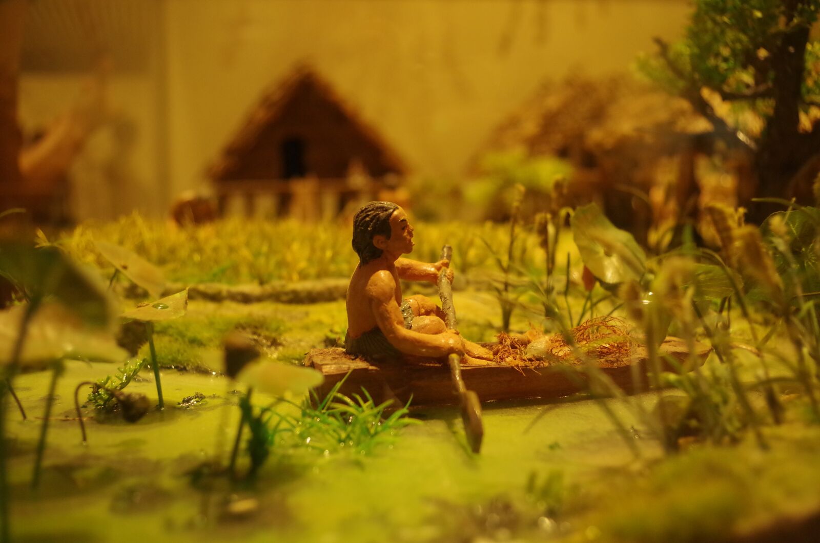 Pentax K-50 sample photo. Shanghai natural history museum photography