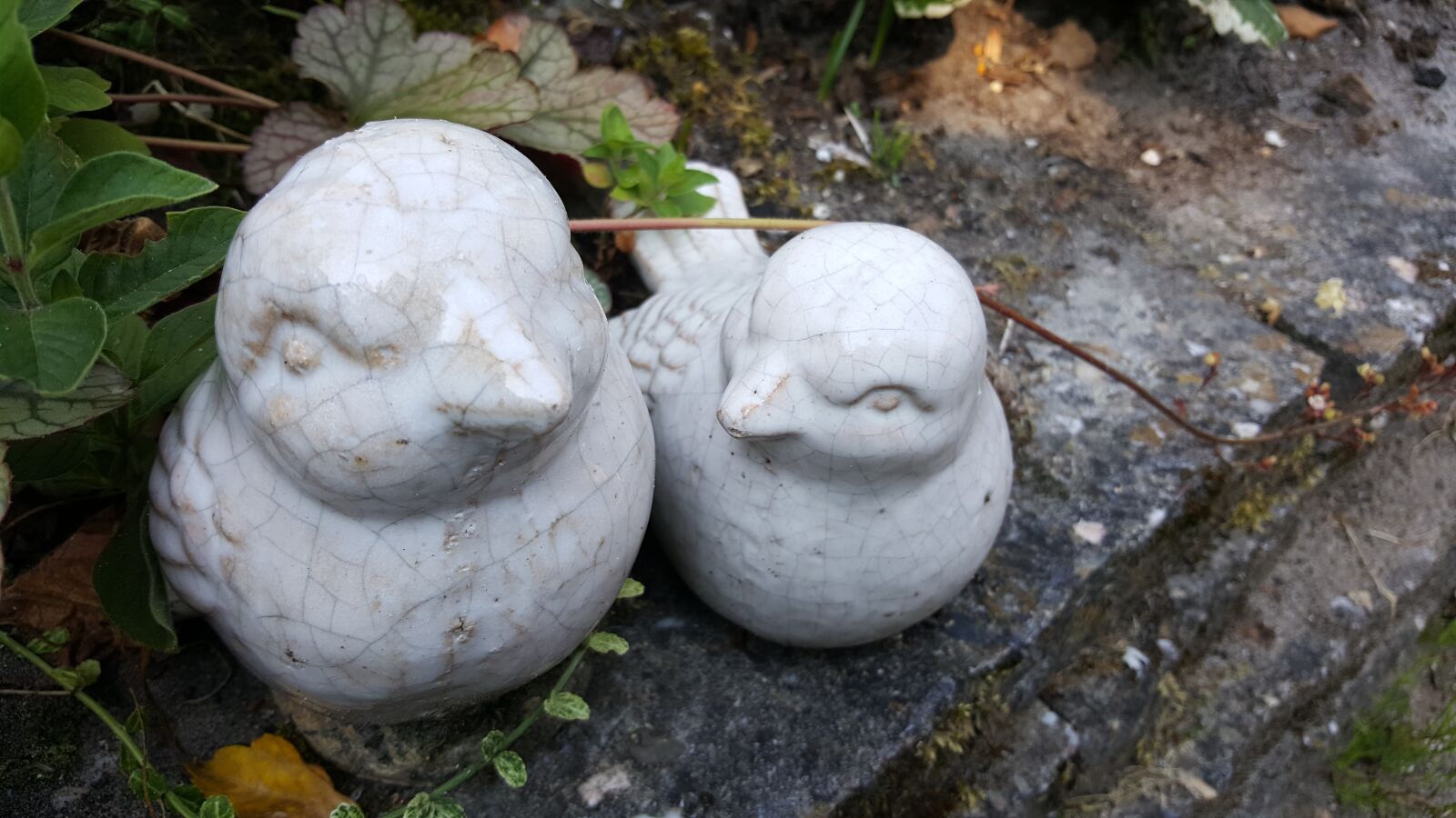 Samsung Galaxy S6 sample photo. Figurine, garden, birds photography