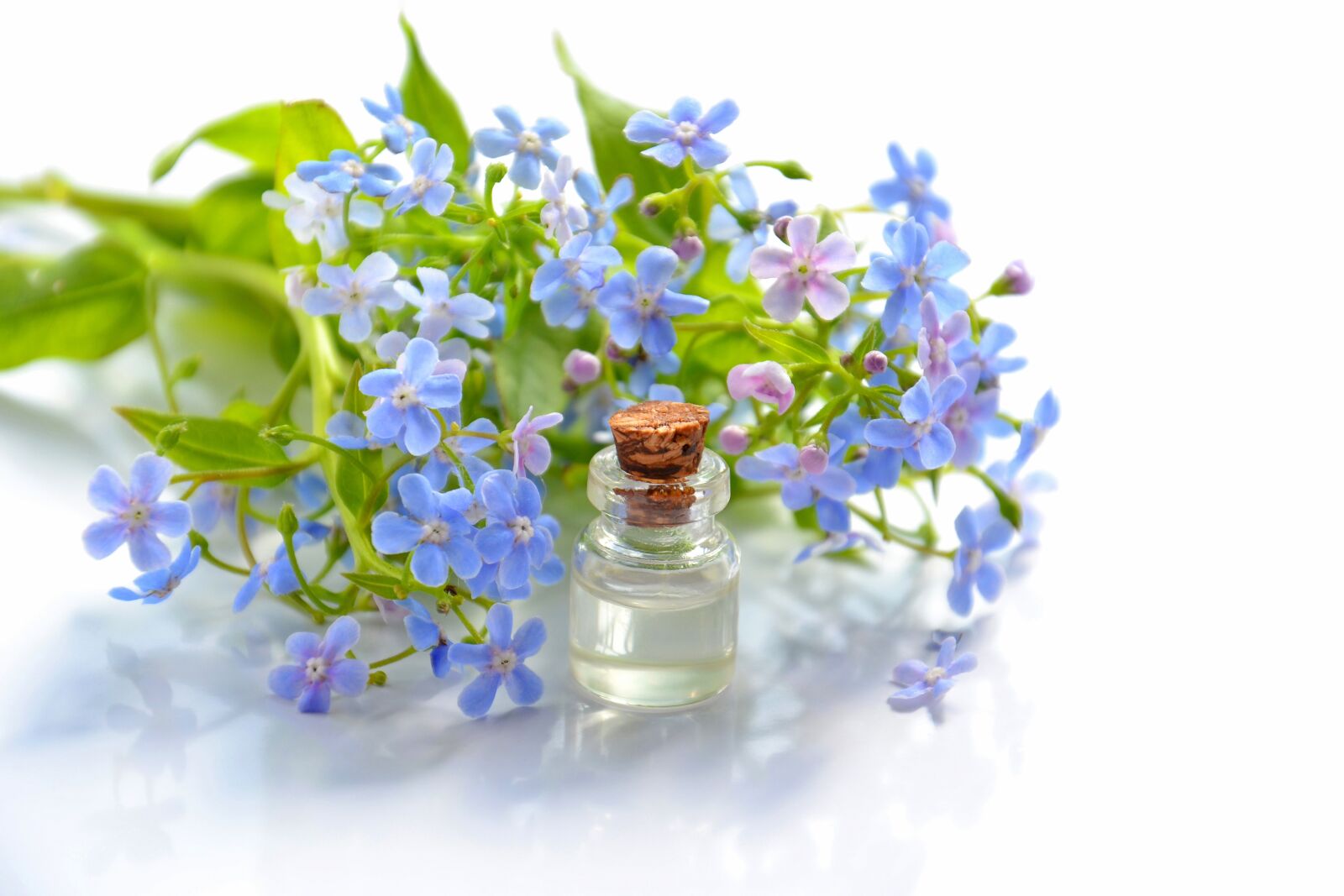 Nikon D3100 sample photo. Cosmetic oil, essential oil photography