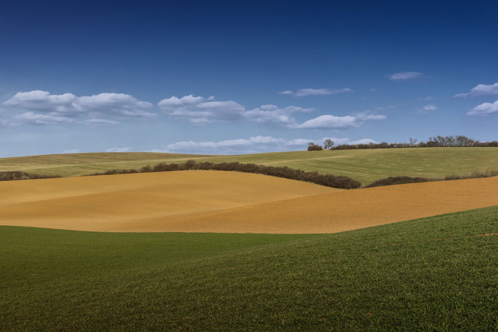 Nikon D5500 sample photo. Country, field, spring photography