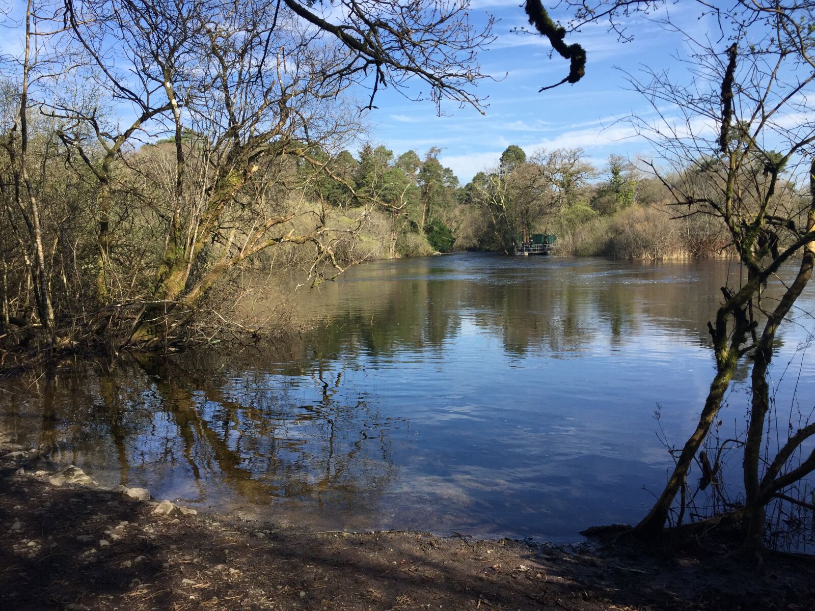 Apple iPhone 6 sample photo. Lake, ashford, water photography