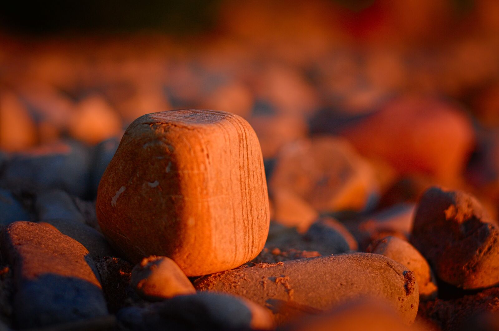 Canon EOS 40D sample photo. Golden, beach, outdoor photography