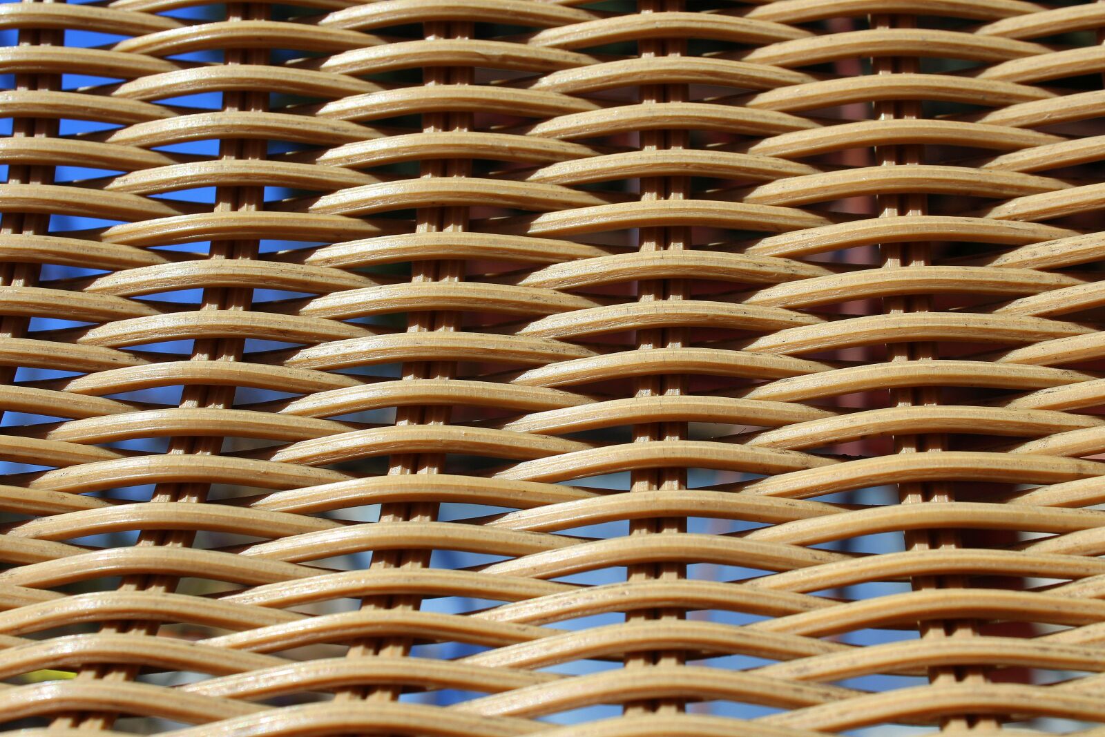 Canon EOS 1200D (EOS Rebel T5 / EOS Kiss X70 / EOS Hi) sample photo. Wicker, model, weaving photography
