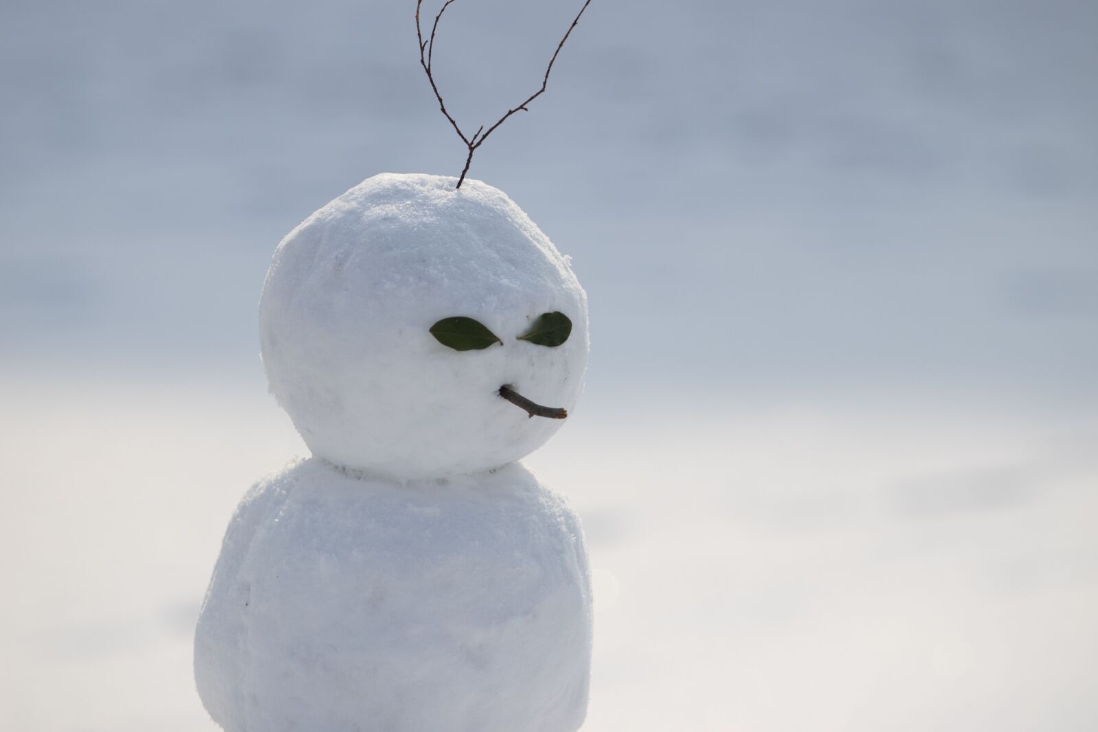 Canon EF 70-200mm F2.8L USM sample photo. Snow, snowman, winter photography