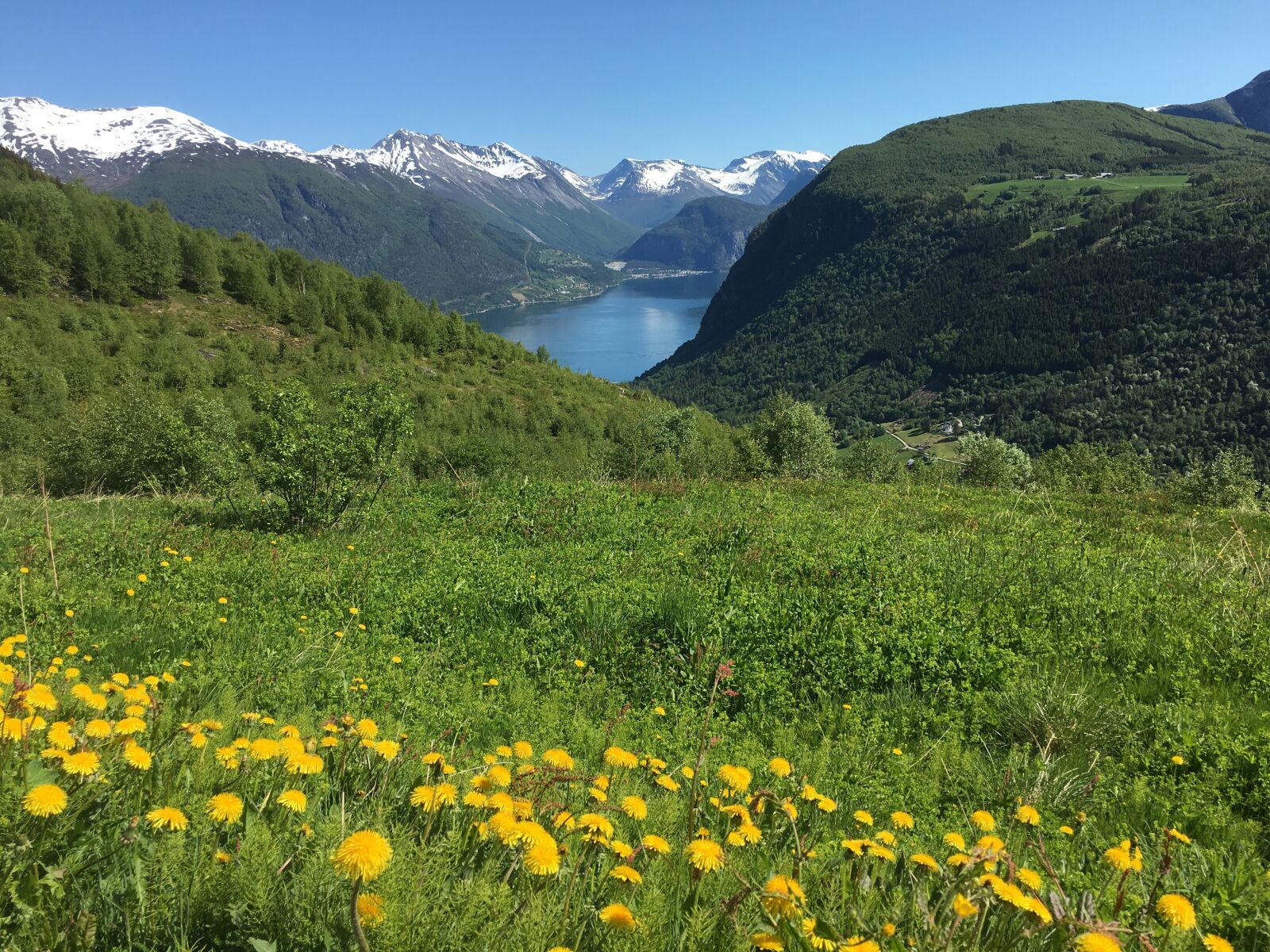 iPhone 6s back camera 4.15mm f/2.2 sample photo. Green nuture, mountain, view photography