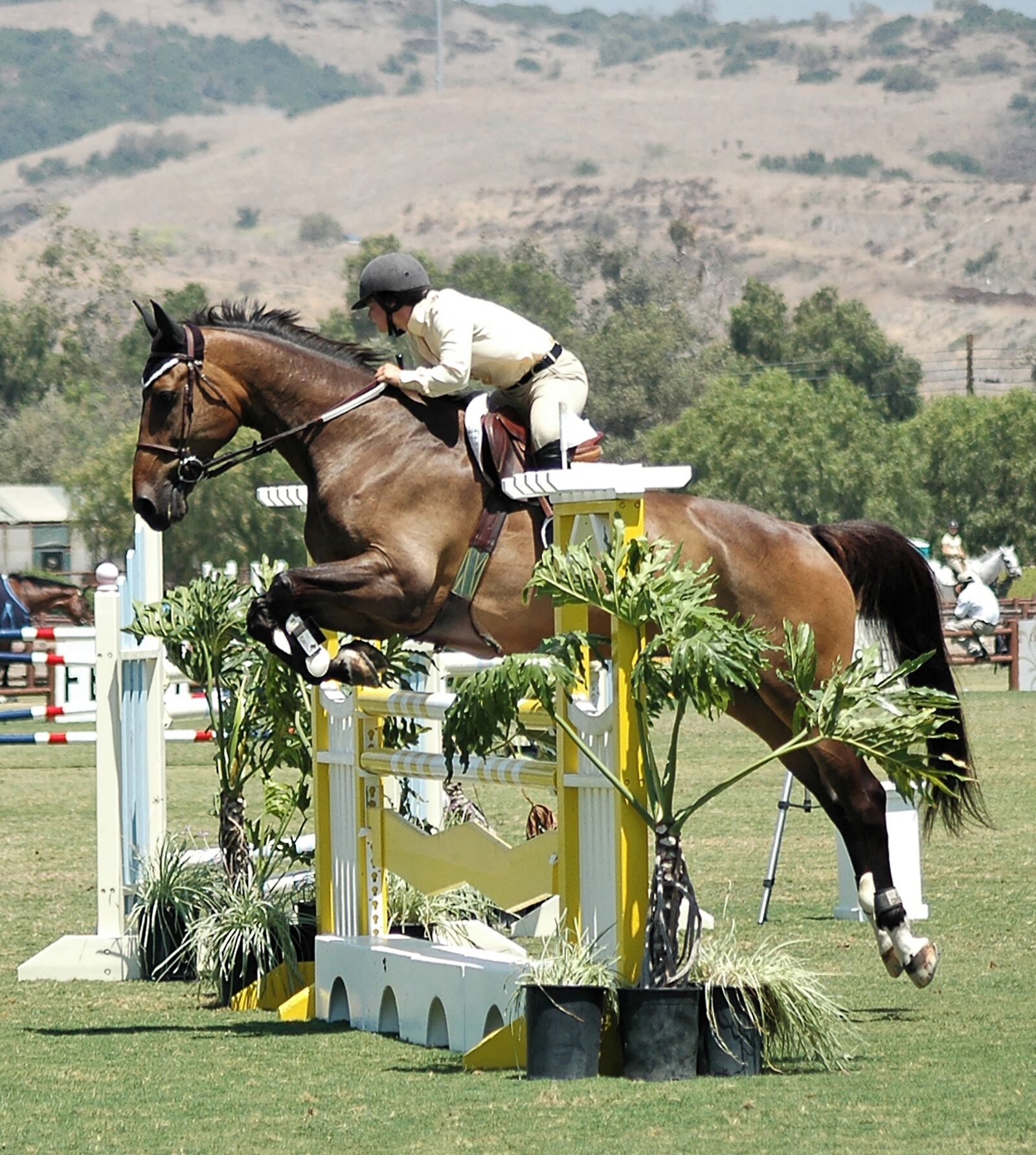 Nikon D70s sample photo. Horse, horseback, ride photography