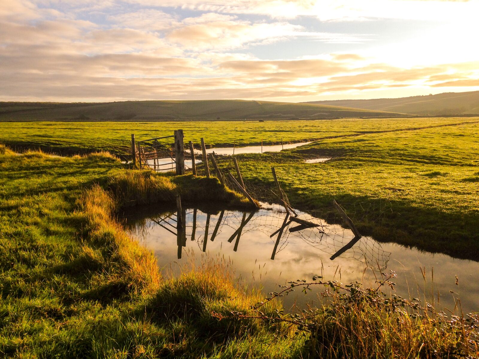 iPhone 5c back camera 4.12mm f/2.4 sample photo. Sunrise, grass, reflections photography