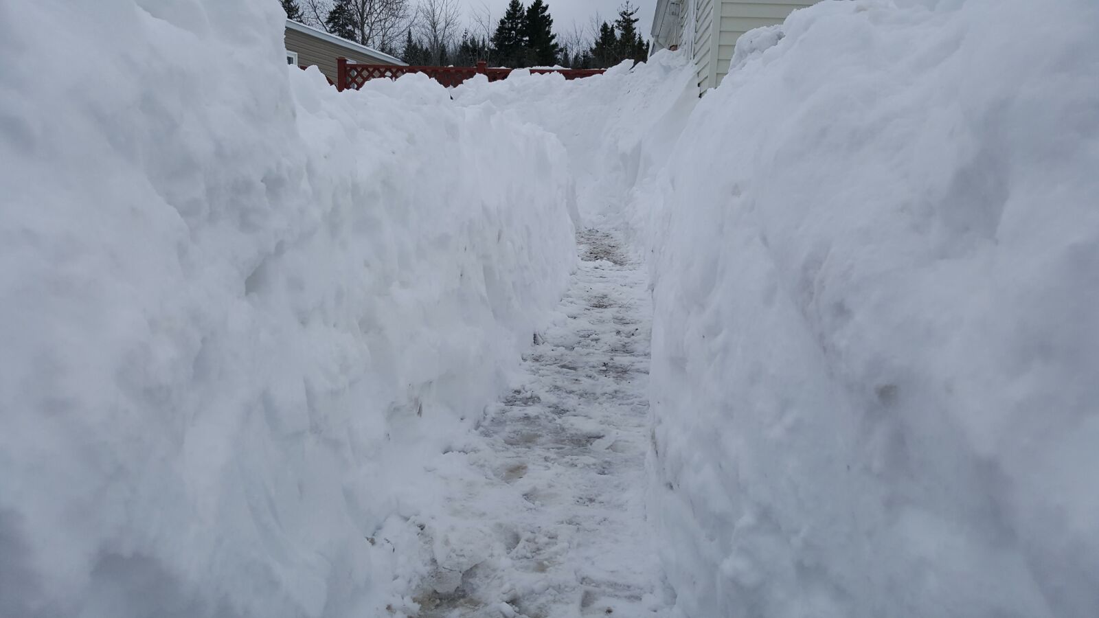 Samsung Galaxy S6 sample photo. Snow, path, cold photography