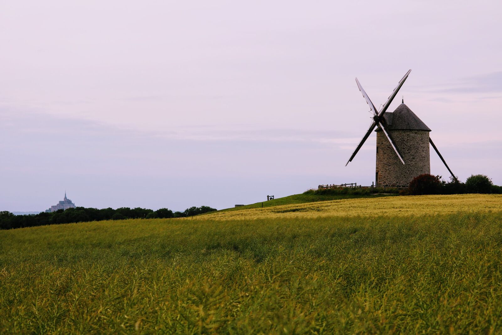 Canon EOS 750D (EOS Rebel T6i / EOS Kiss X8i) sample photo. Windmill, farm, agriculture photography