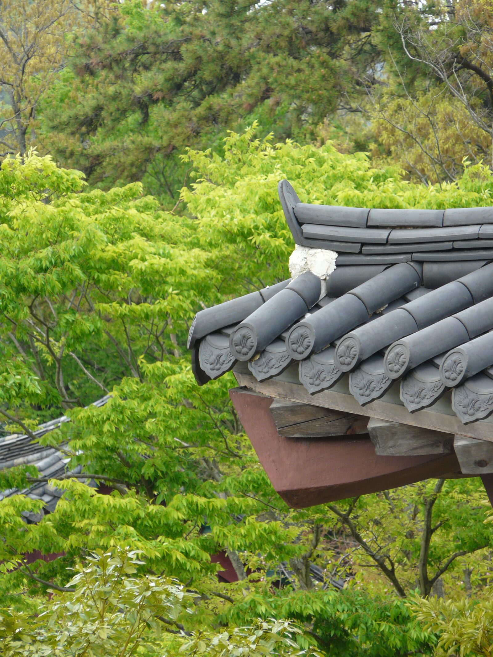 Panasonic DMC-FZ18 sample photo. Traditional, roof tile, landscape photography