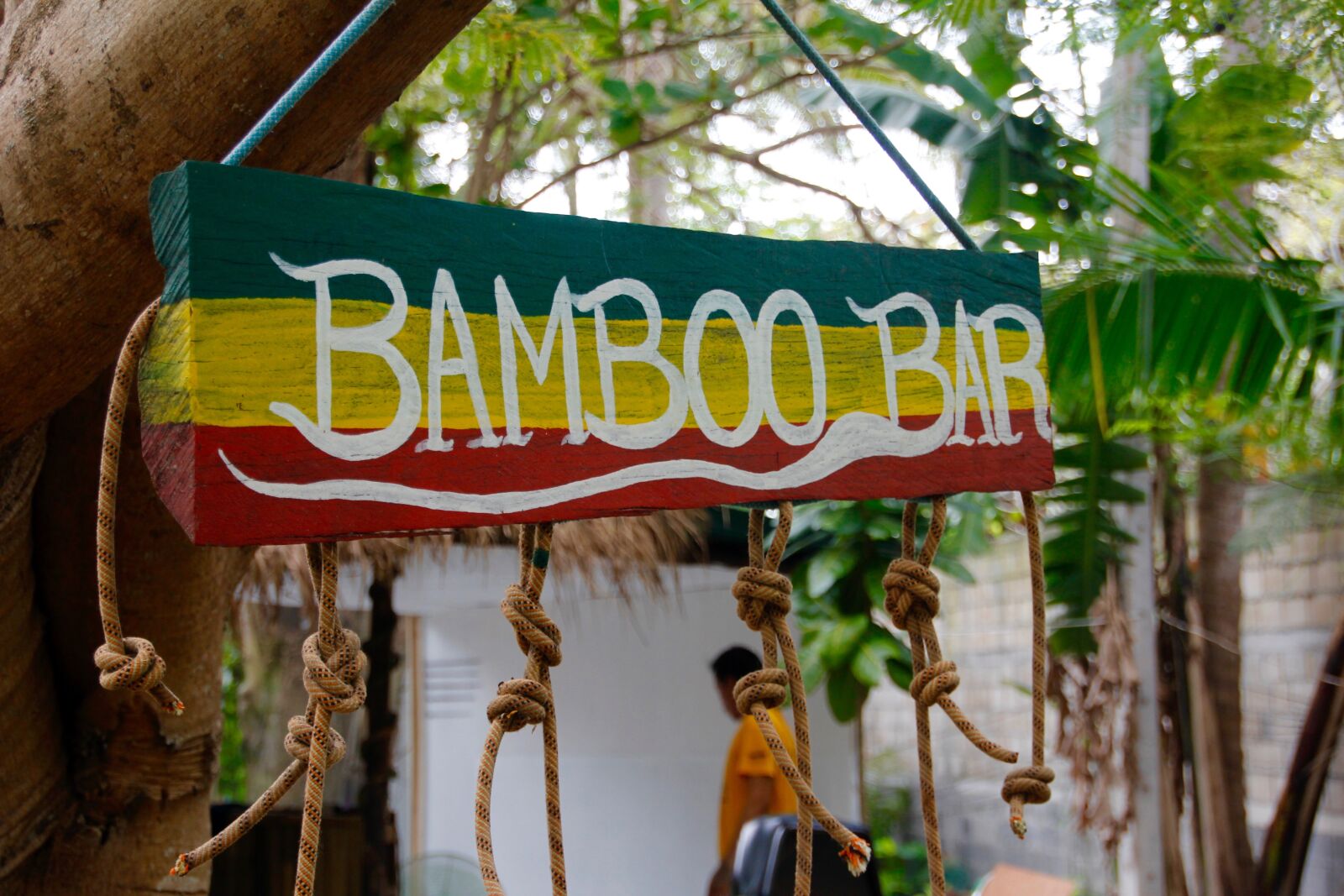 Canon EOS 60D sample photo. Bamboo, bar, shield photography