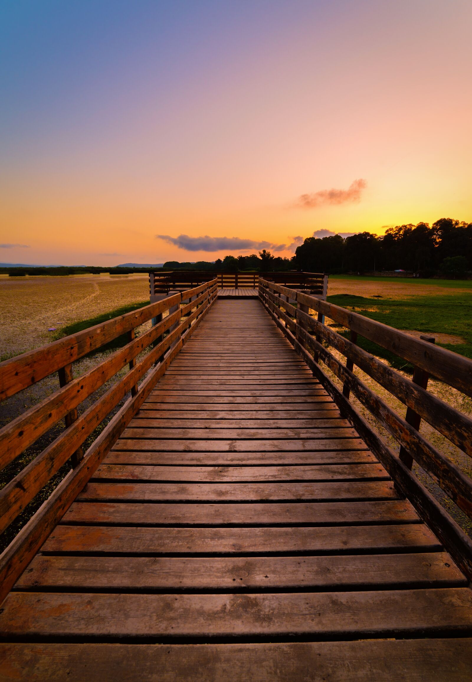 Nikon D610 sample photo. Nature, sun, landscape photography