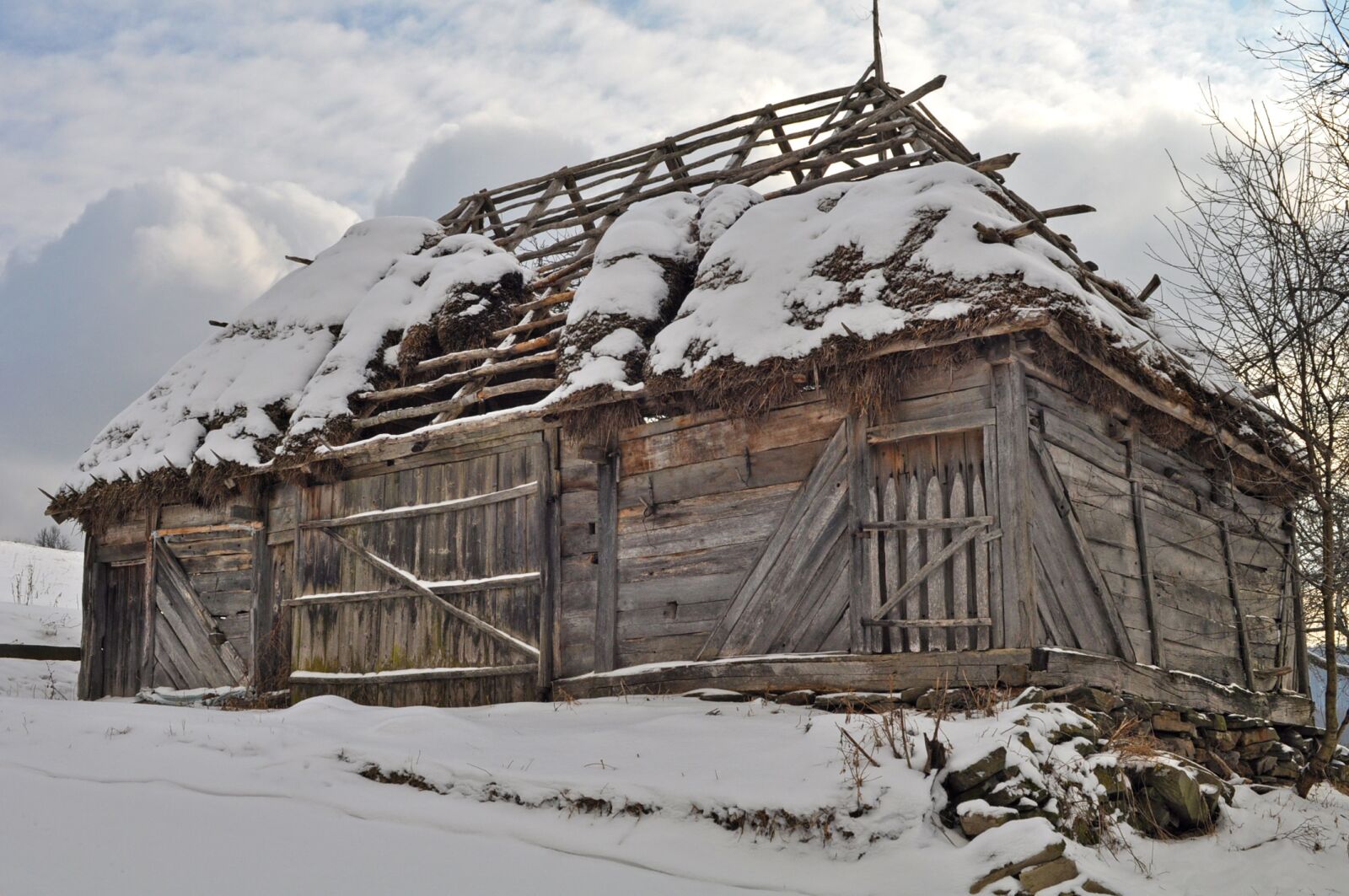 Nikon D90 sample photo. Snow, winter, cold photography