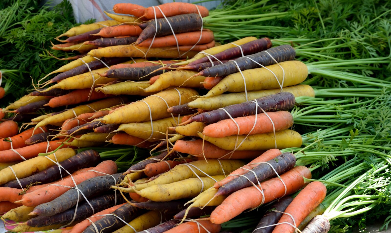 Nikon D3300 sample photo. Vegetable, food, carrot photography