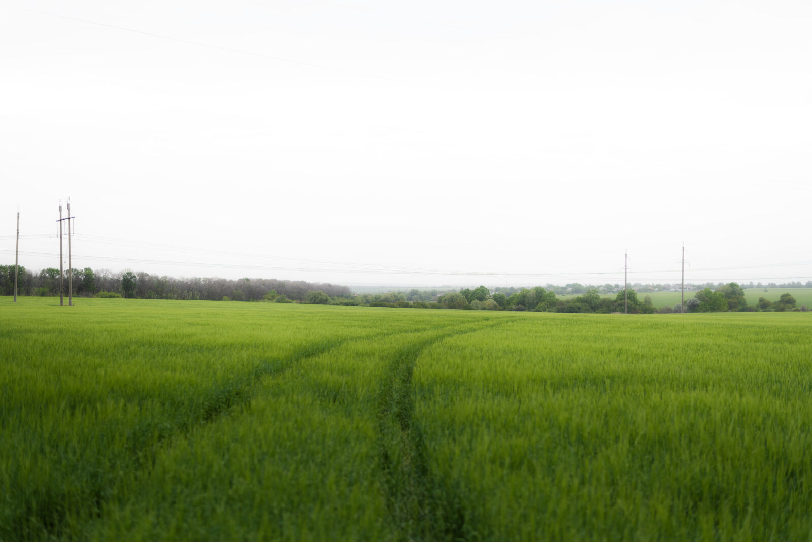 Nikon D750 + Nikon AF-S Nikkor 50mm F1.8G sample photo
