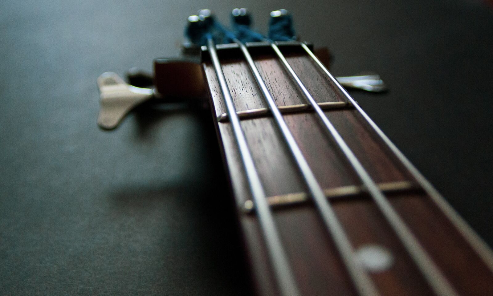 Canon EOS 60D sample photo. Electric bass, music, vibration photography