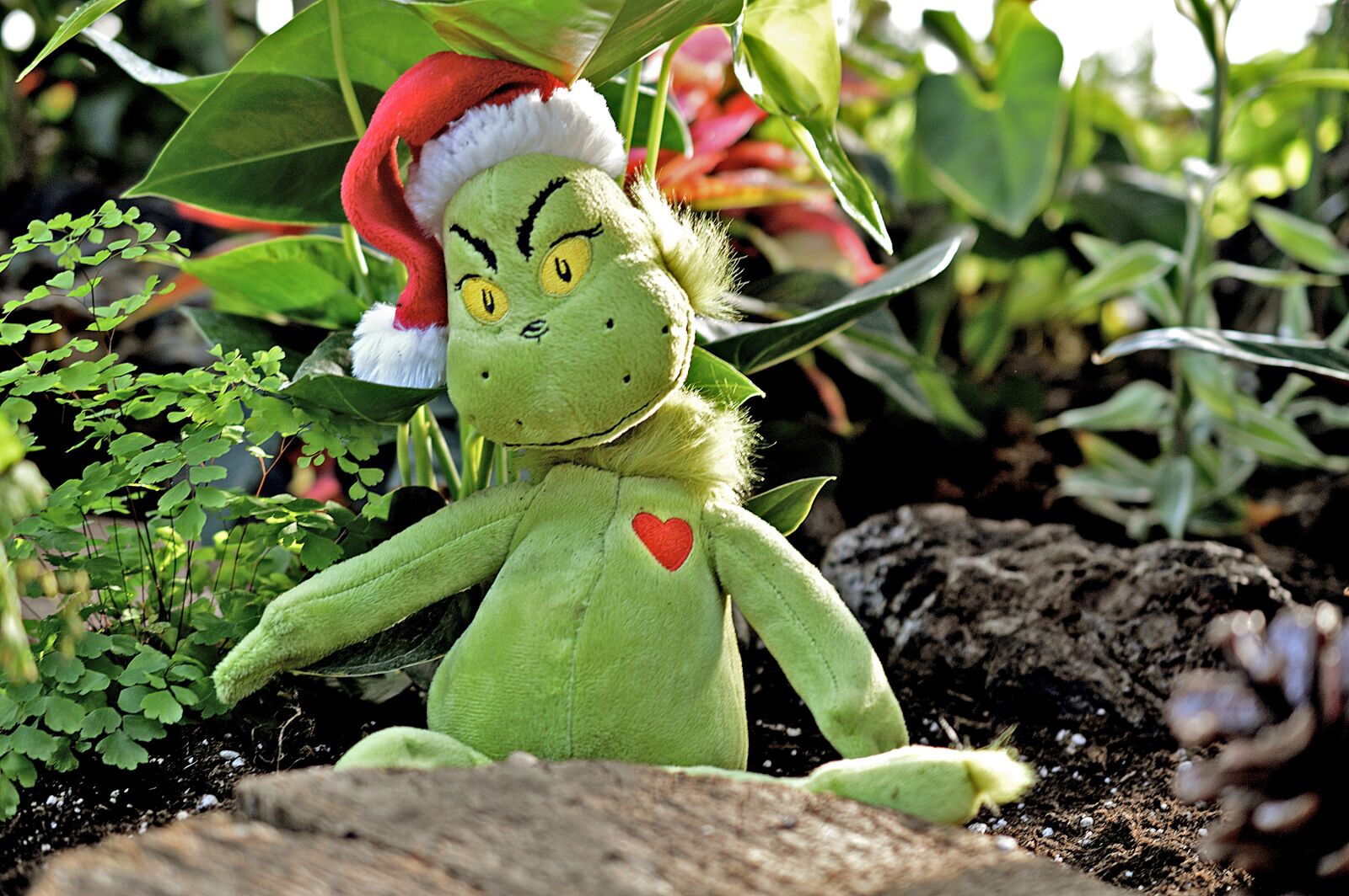 Nikon D3200 sample photo. Grinch, green, christmas photography