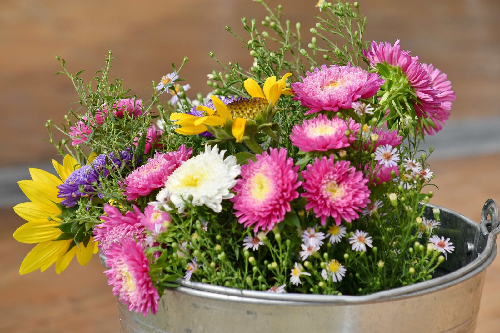 Nikon D5500 sample photo. Bucket, chamomile, chrysanthemum, decoration photography